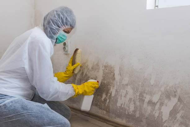 Best Mold Remediation for Specific Building Types in Hoopa, CA